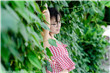 农门妇最新章节_农门妇全文